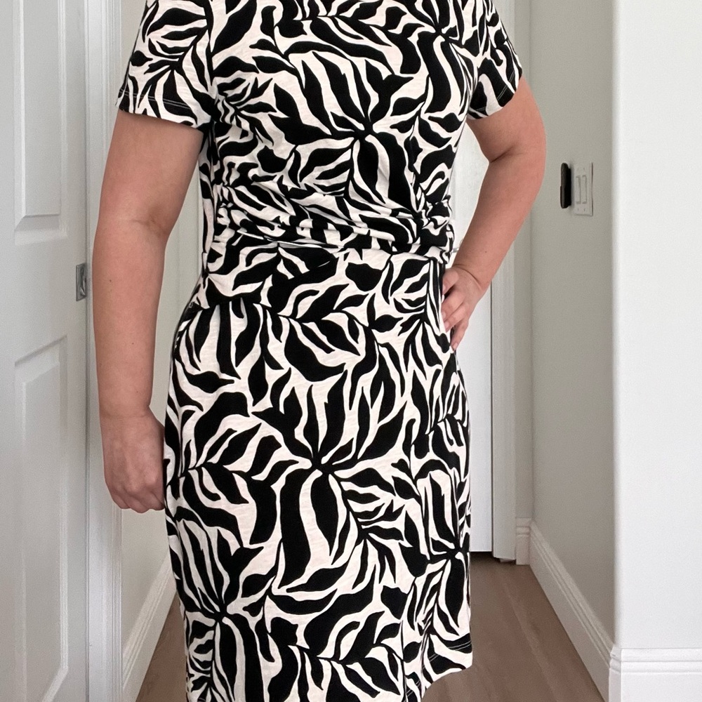 LOFT Zebra Print Midi Dress in Black and Cream